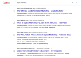 Organic search result example using the search query 