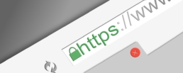 SSL certificate being used to a secure a website.